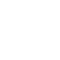 Processor